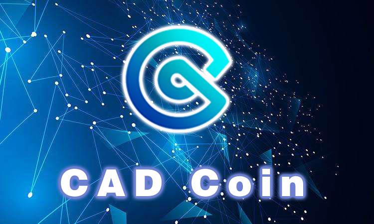 eth coin price cad,Understanding the ETH Coin Price in CAD: A Comprehensive Guide