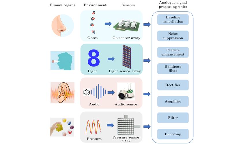 bio inspired robotics lab eth zurich,Lab Overview